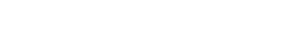 FORMALIGHT